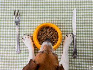 Mounds Pet Food Warehouse: A Comprehensive Guide for Pet Owners