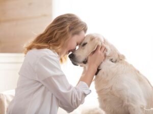 The Ultimate Guide to Pet Wellness Centers