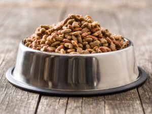 Pet Food Experts Login: A Comprehensive Guide for Pet Retailers