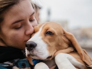 Springmill Pet Wellness: Comprehensive Guide to Your Pet’s Health and Happiness