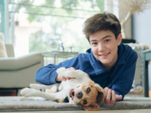 Companion Animal Hospital: Caring for Your Furry Friends