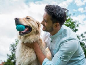 Where Compassion Meets Expertise: A Deep Dive into Care First Animal Hospital at Glenwood