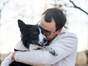 VCA Animal Hospital: A Comprehensive Guide to Your Pet’s Health Care