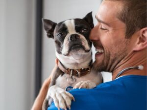 Your Ultimate Guide to Choosing the Best Animal Medical Clinic