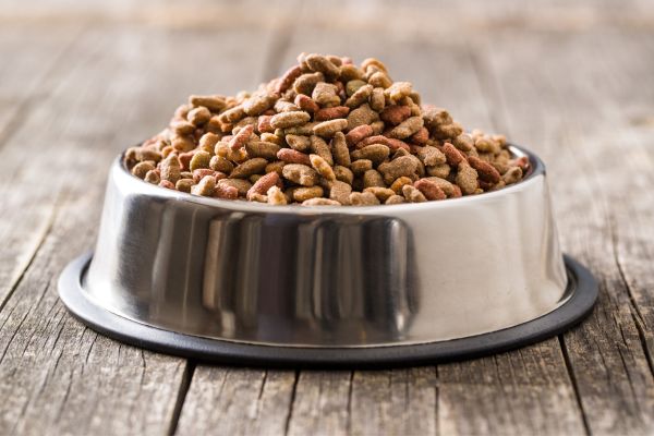 Raw food diet for dogs