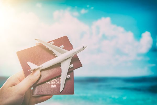 Airline pet policies