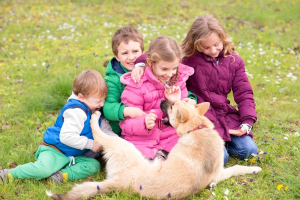 Safe pets for young children