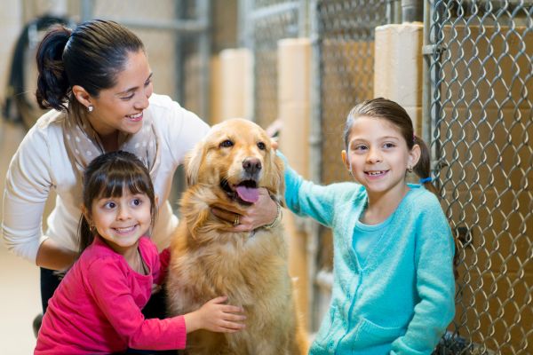 Pet adoption for families with kids