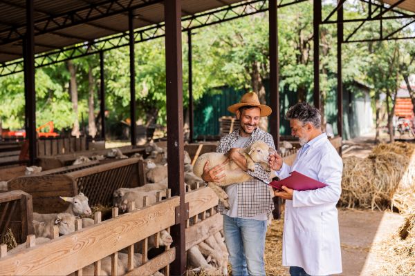 Veganism and animal welfare