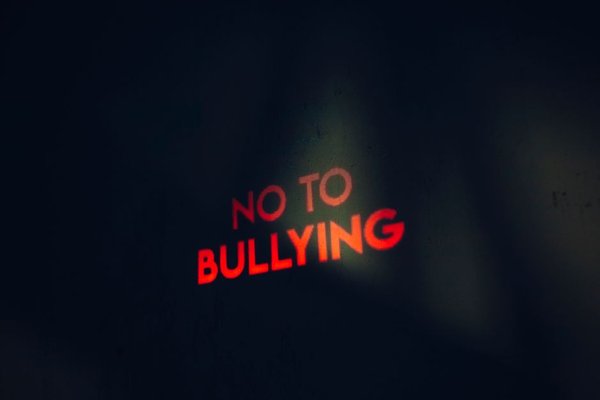 xl bully ban rules uk explained