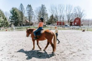 Horse Riding for Beginners: What to Expect and Learn