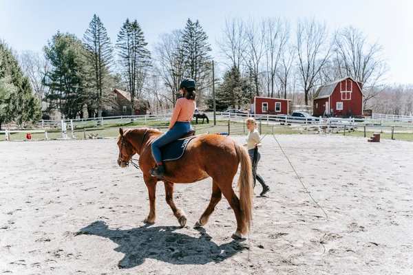 horse riding for beginners